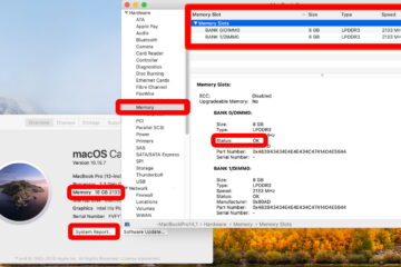 how to check the RAM on my Apple Mac