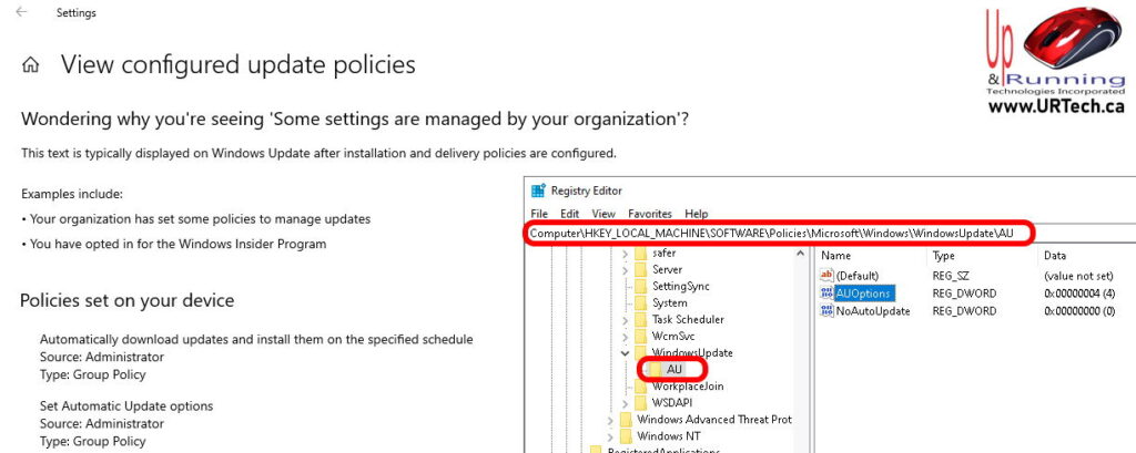 windows update some settings are managed by your organization