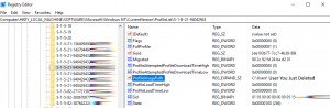 remove-corrupt-windows10-profile-manually